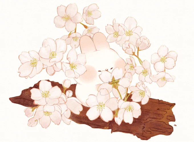 (○・×・○)(○・Y・○)#ぷみうさぎ #ぽぷうさぎ#すぴょんず 