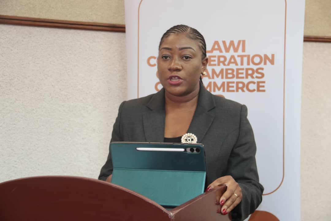 With a theme centered on "Promoting Economic Growth through Private Sector-led Economic Transformation," MITF 2025 is set to bring together local and international exhibitors, business leaders, and policymakers to foster investment, trade, and industrialization.