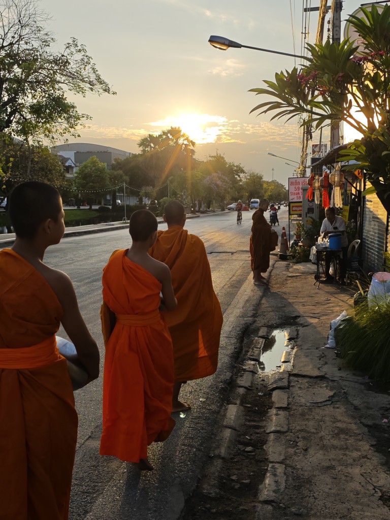 volunteerfdip's tweet photo. Grateful for our amazing volunteer from Germany, embracing serenity and service at the Buddhist monastery program in Chiang Mai, Thailand!  #VolunteerAbroad #ChiangMai #BuddhistRetreat https://t.co/apNPC3YF9J