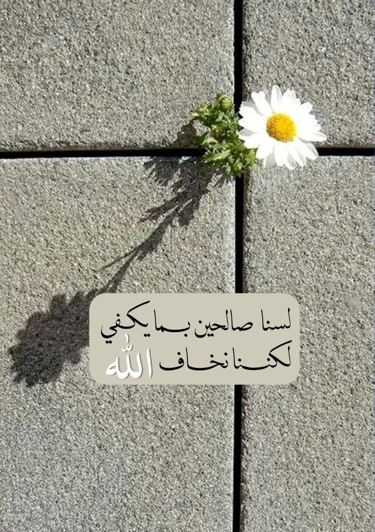 لكننا نخاف الله🤍..