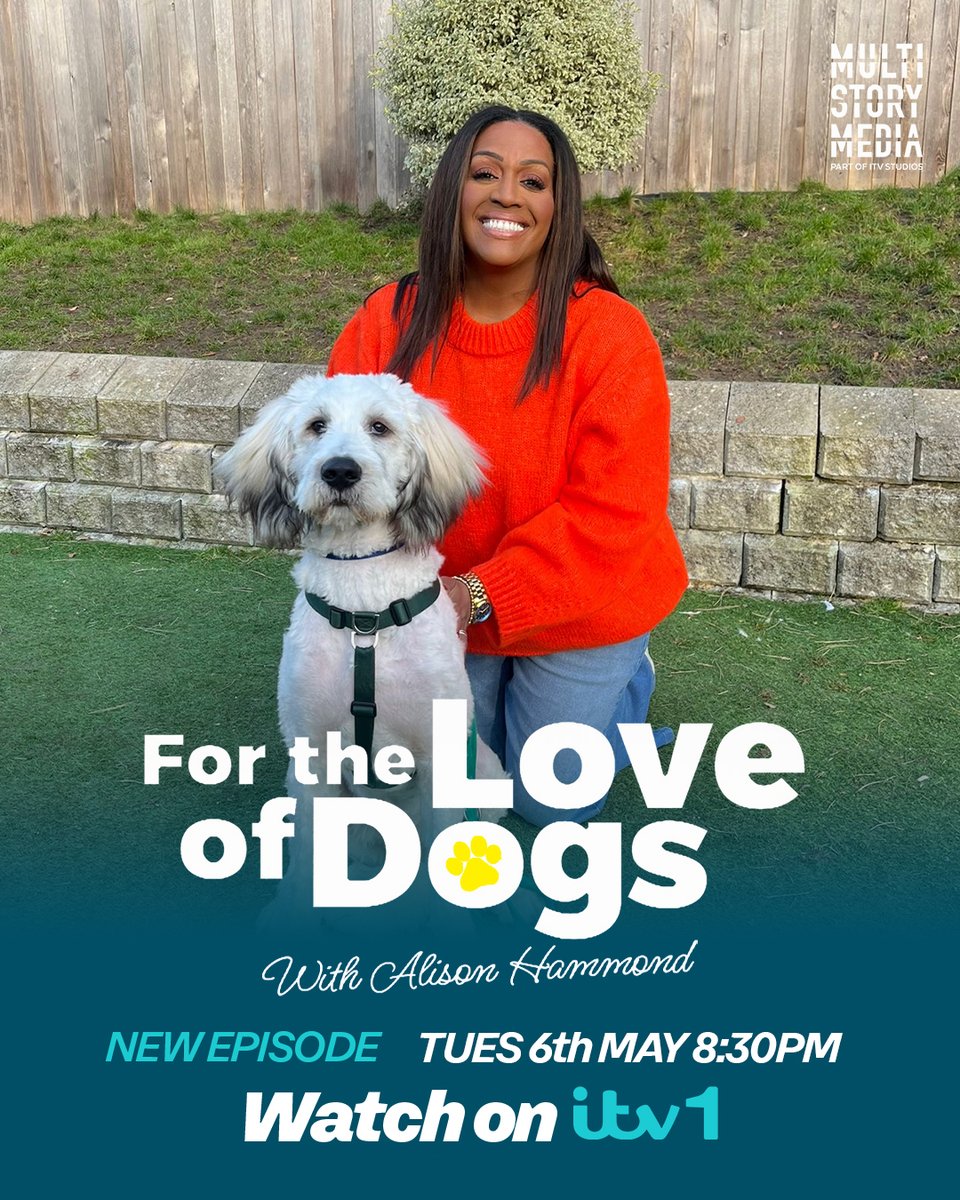 For the Love of Dogs (@itvflod) on Twitter photo 💙🐶New Episode Tonight! 
👉 Alison meets a rare Romanian Mioritic Shepherd with a fear of stairs and doorways, and there is chaos when a van with seven Belgian Shepherd cross puppies arrives. 💙🐶New Episode Tonight! 
👉 Alison meets a rare Romanian Mioritic Shepherd with a fear of stairs and doorways, and there is chaos when a van with seven Belgian Shepherd cross puppies arrives.