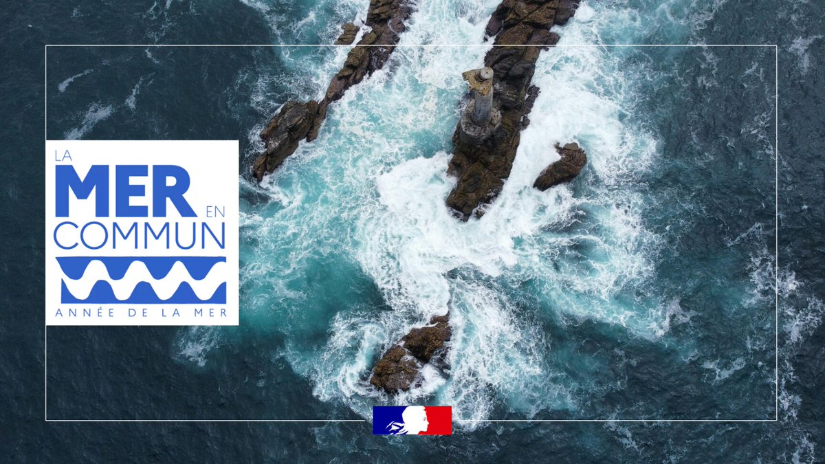 Mers et océans : un espace stratégique où s’entremêlent intérêts économiques, politiques et environnementaux 🌊

Retrouvez sur éduscol toutes les ressources pour faire vivre l'#AnnéeDeLaMer et un dossier @lumnienseignant consacré à l'espace maritime

⚓eduscol.education.fr/4182/annee-de-…