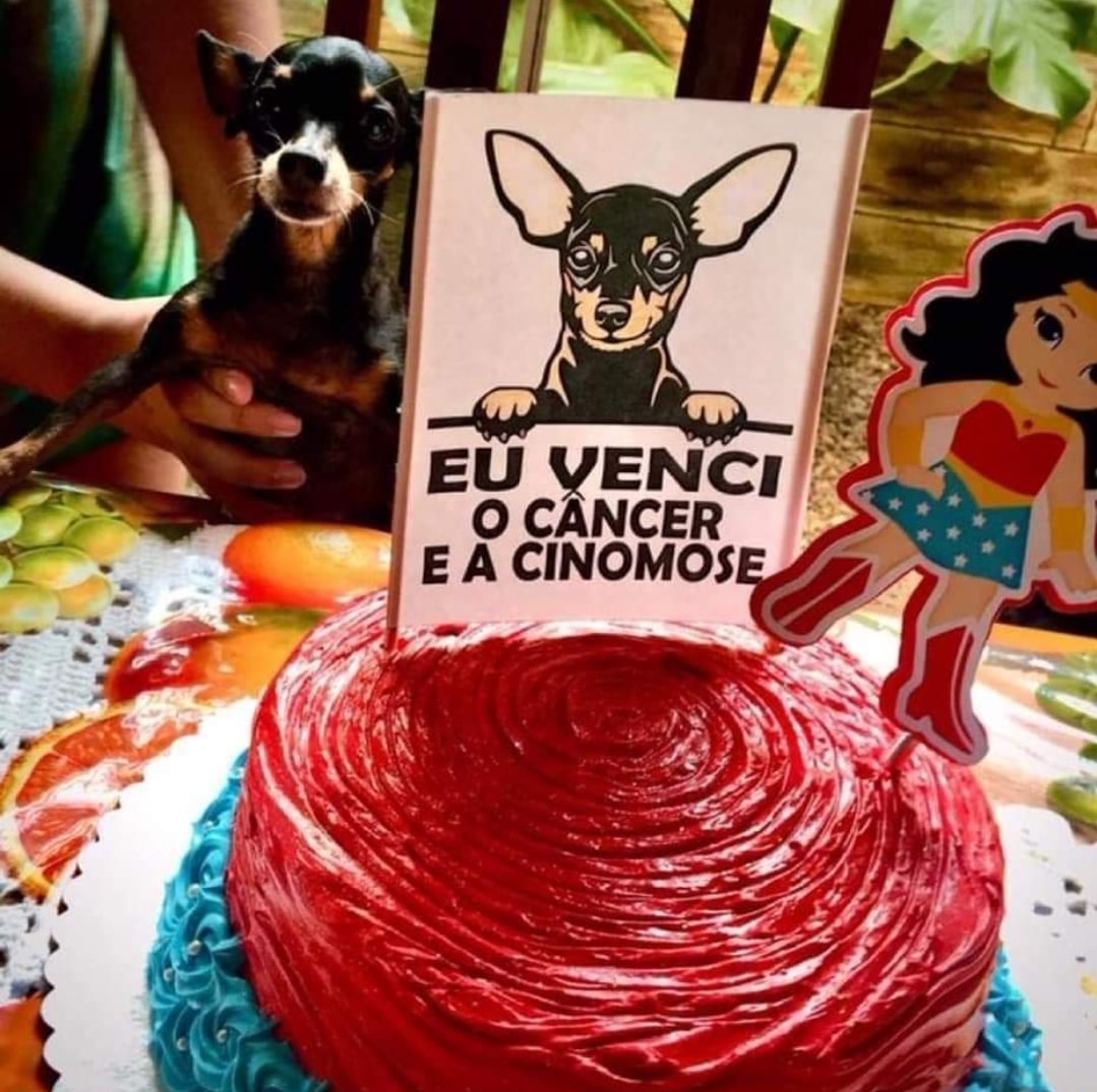 Coisas que deixam o coração quentinho ❤️