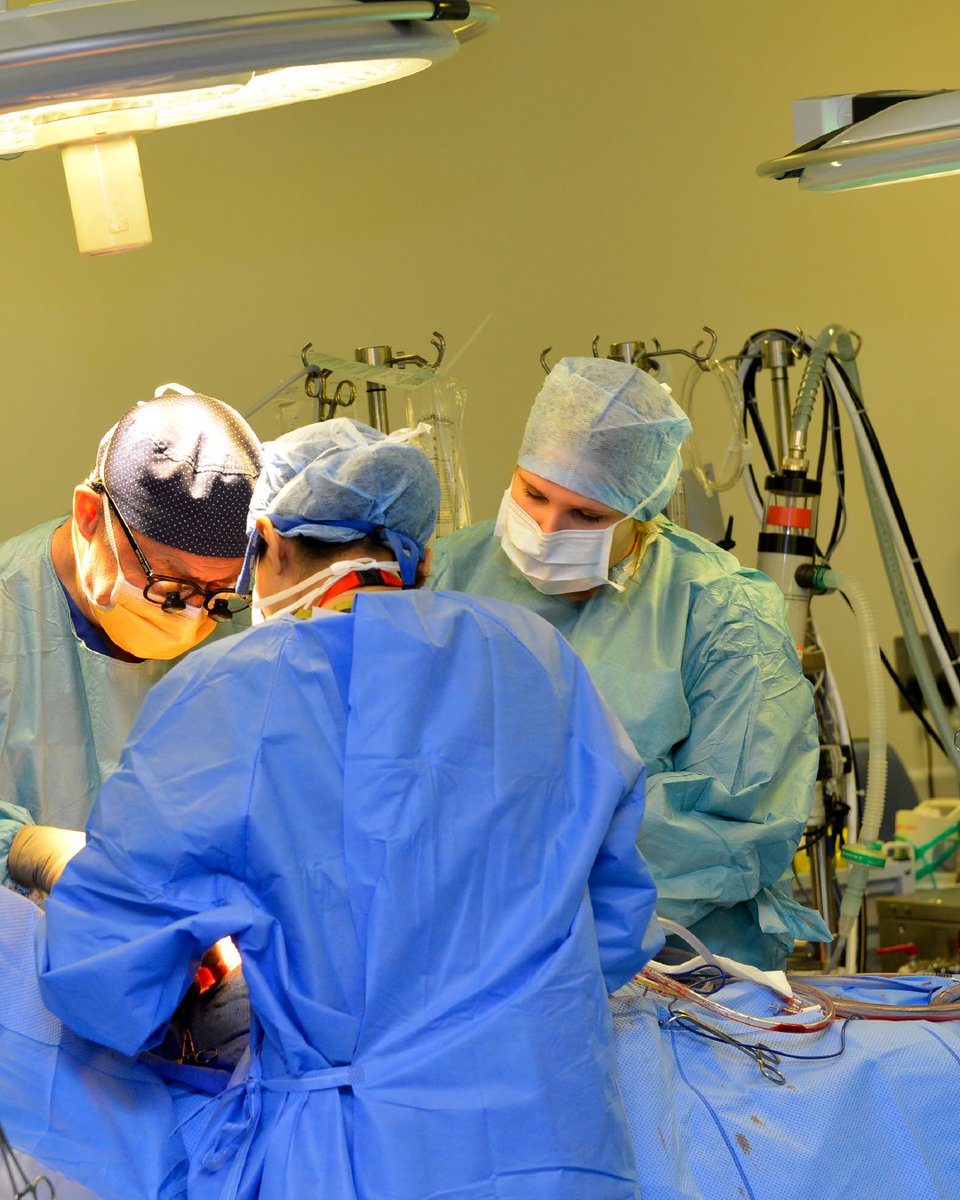 NHS England (@nhsengland) on Twitter photo Ten years ago, <a href="/RoyalPapworth/">Royal Papworth Hospital NHS FT π</a> performed Europeβs first heart transplant using a non-beating donor heart β a technique called donation after circulatory death (DCD).
Recently, some of the first recipients came together to mark a decade of the procedure that saved their lives. π Ten years ago, <a href="/RoyalPapworth/">Royal Papworth Hospital NHS FT π</a> performed Europeβs first heart transplant using a non-beating donor heart β a technique called donation after circulatory death (DCD).
Recently, some of the first recipients came together to mark a decade of the procedure that saved their lives. π