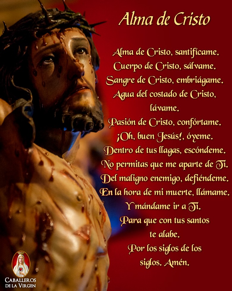 Corazón de Maria (@juntosrecemos) on Twitter photo 