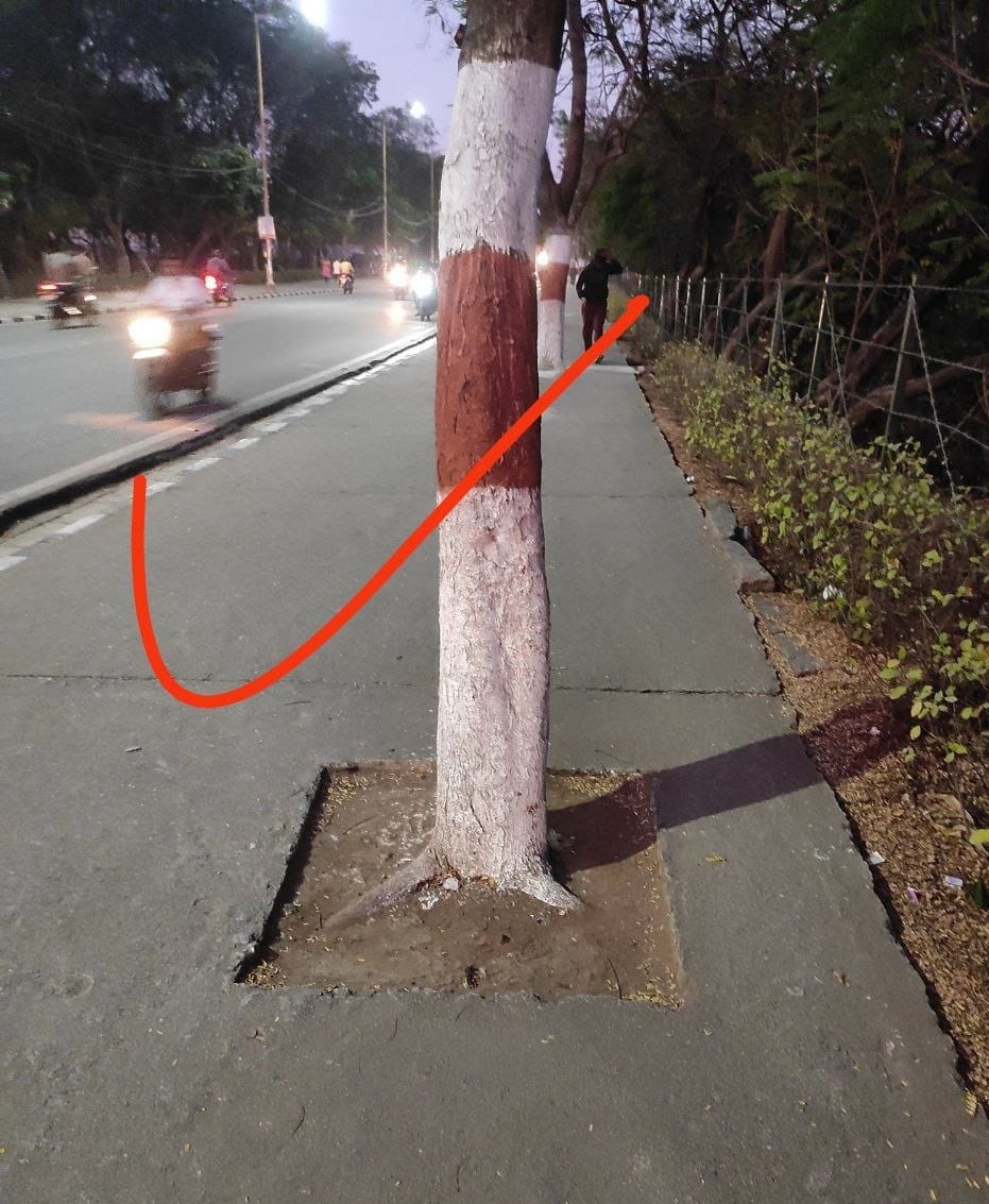 krishna_avs's tweet image. This should be an eye-opening to @GHMCOnline @CommissionrGHMC @acub_ghmc @PARKS_GHMC @DDKHZGHMC @PrlsecyMAUD to give living space to #FullyGrownTrees.

#SaveFullyGrownTrees

@vinay_vangala @Citizen_TS @Ilovehyderabad @UNTGAPS @Praja_Snklpm @HydWatch @bandarvirala @vata_foundation