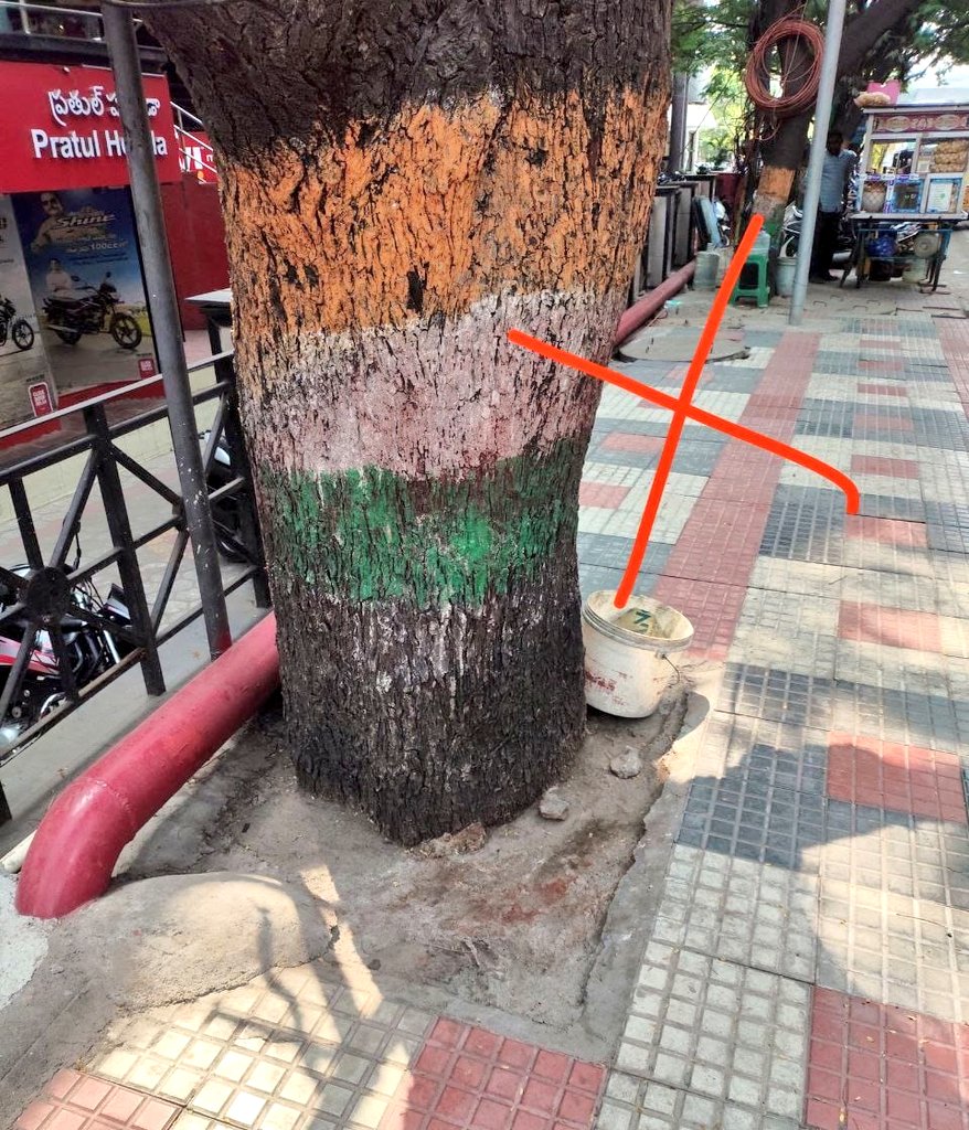 krishna_avs's tweet image. This should be an eye-opening to @GHMCOnline @CommissionrGHMC @acub_ghmc @PARKS_GHMC @DDKHZGHMC @PrlsecyMAUD to give living space to #FullyGrownTrees.

#SaveFullyGrownTrees

@vinay_vangala @Citizen_TS @Ilovehyderabad @UNTGAPS @Praja_Snklpm @HydWatch @bandarvirala @vata_foundation