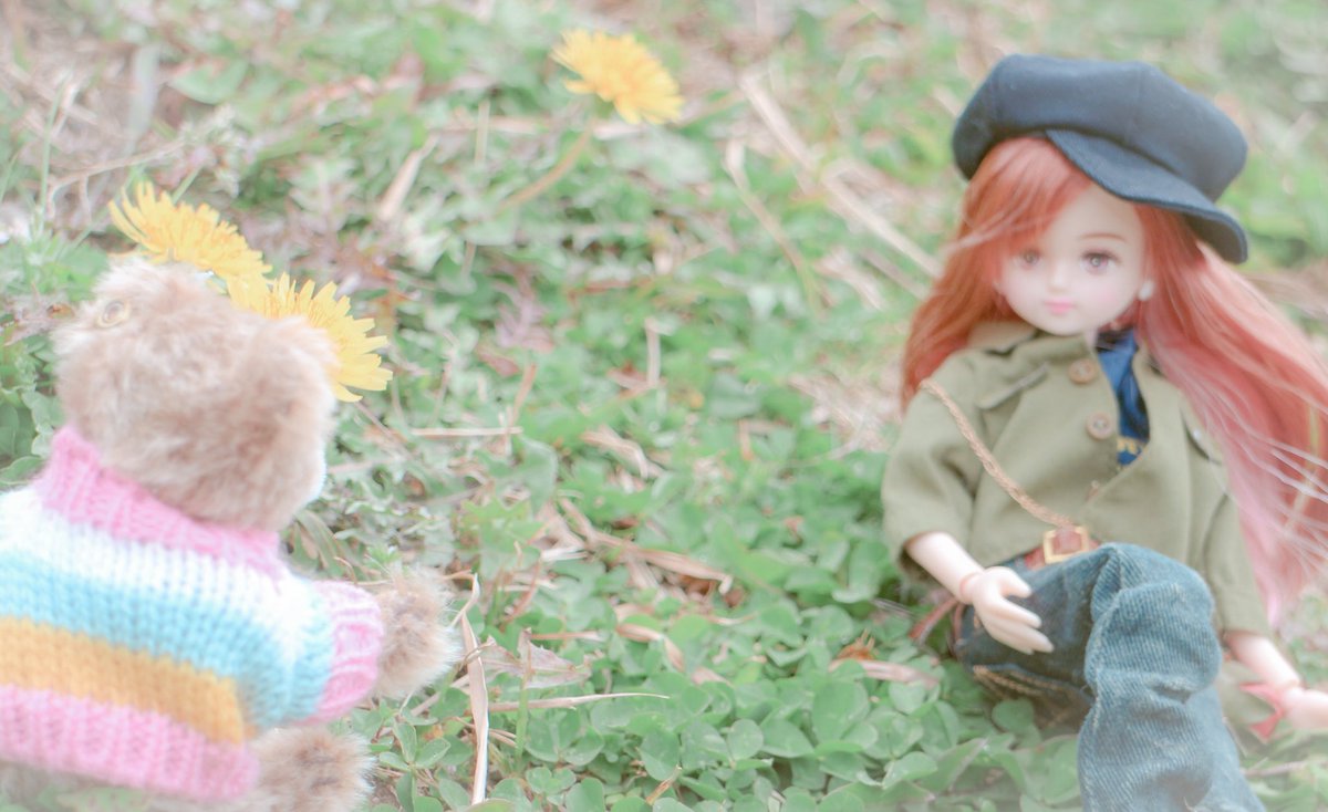 8morupeco8's tweet photo. ほっこり🌸
今年の桜写真もついにこれで最後かな🥹

 #テディベア  #ぬい撮り https://t.co/bzoVo5Kuzq