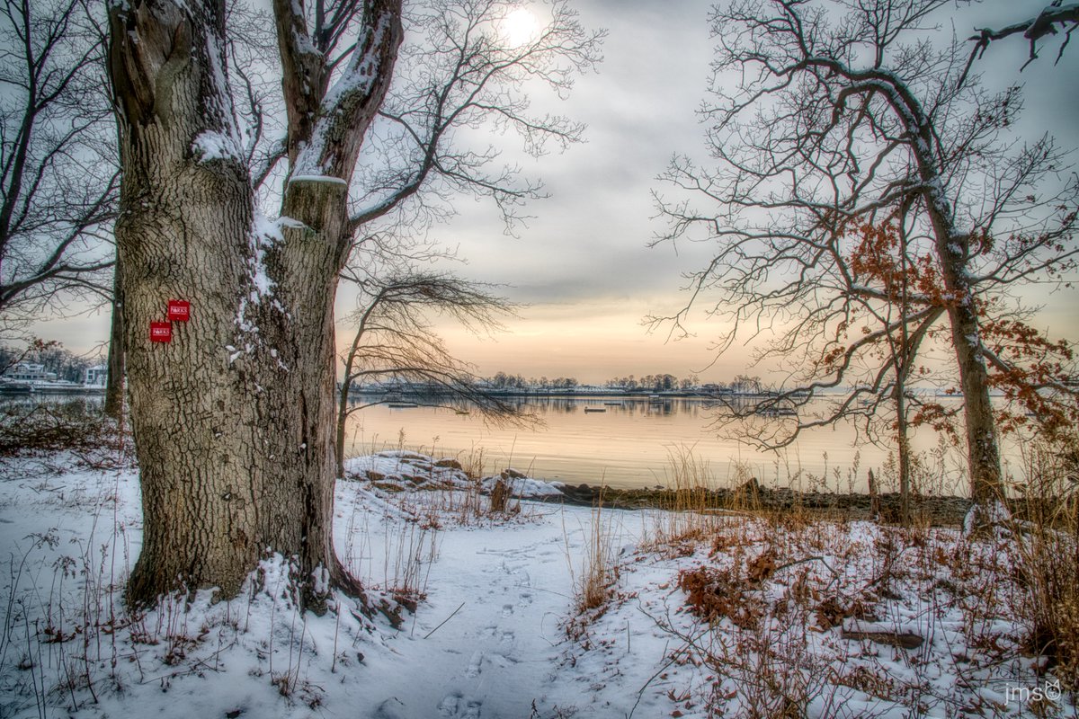 Happy #ThickTrunkTuesday
#photography #photographyisart #photographylovers #scenic #NatureBeauty