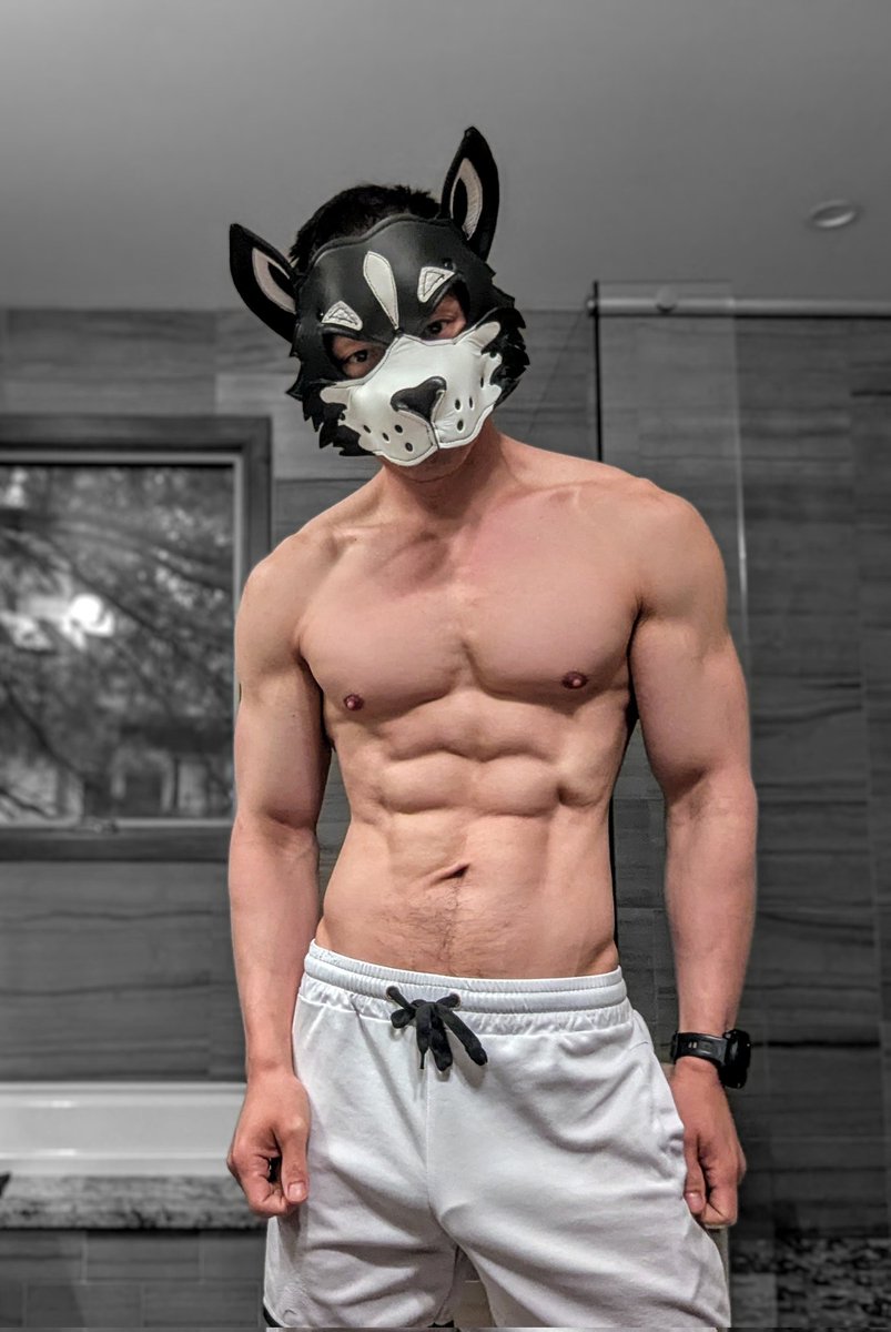 WolfPup Turbo tweet media