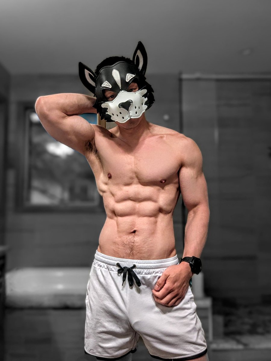 WolfPup Turbo tweet media