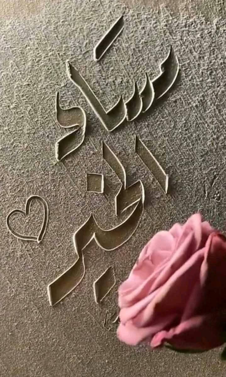 نشط الآن تابعني اتابعك 🌹