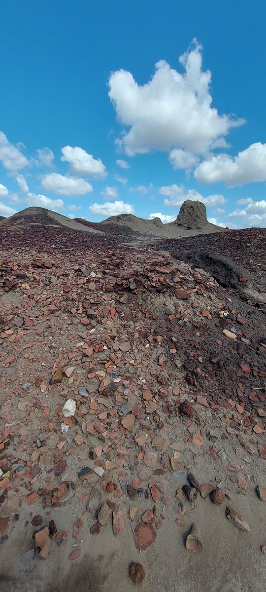 Patrice Georges-Zimmermann tweet media