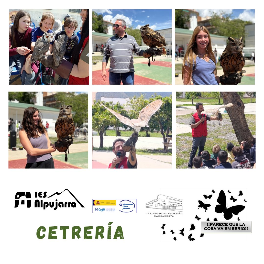 Nos sorprende el equipo de coordinación del Proyecto de #agrupaciondecentros "Parece que la cosa va en serio". El taller de cetrería despertó la atención de los alumnos y profesores participantes. Fue increíble el contacto directo con las aves.🤩

🦅🦉🐦‍🔥🪶🌷🌼🌱🌿🎋🪴🪻🦋🦋🦋