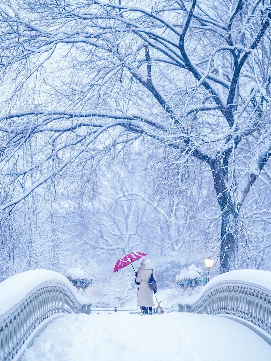 ☔ You can stand under our umbrella (ella, ella) 🎶 

Don’t let the rain get you down! If you find yourself in Central Park on a rainy day, enjoy the quiet atmosphere and stop by Bethesda Arcade, an ornate arch, or even the Dairy Visitor Center to dry off.