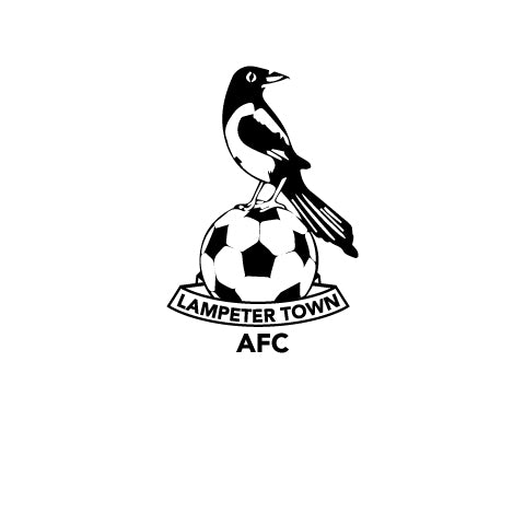 Cymru Sport tweet media