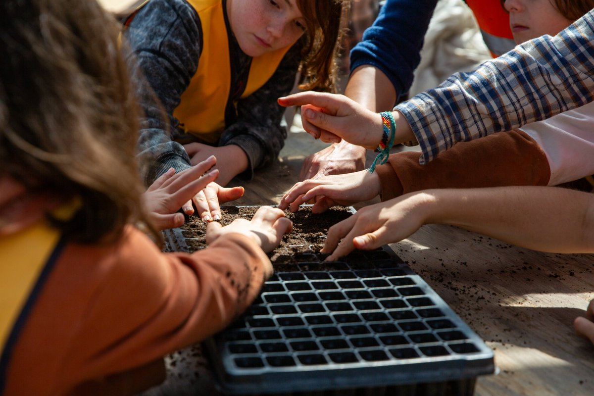 American Farmland Trust (@farmland) on Twitter photo 🌱 Teachers are the master gardeners of our future! We're planting something special for them with <a href="/RodaleInstitute/">Rodale Institute</a> & <a href="/apricotlanefarm/">Apricot Lane Farms</a> this #NationalTeachersDay. Stay tuned!
Learn more: rodaleinstitute.org/biggest-little….
Photo courtesy of <a href="/apricotlanefarm/">Apricot Lane Farms</a> 🌱 Teachers are the master gardeners of our future! We're planting something special for them with <a href="/RodaleInstitute/">Rodale Institute</a> & <a href="/apricotlanefarm/">Apricot Lane Farms</a> this #NationalTeachersDay. Stay tuned!
Learn more: rodaleinstitute.org/biggest-little….
Photo courtesy of <a href="/apricotlanefarm/">Apricot Lane Farms</a>