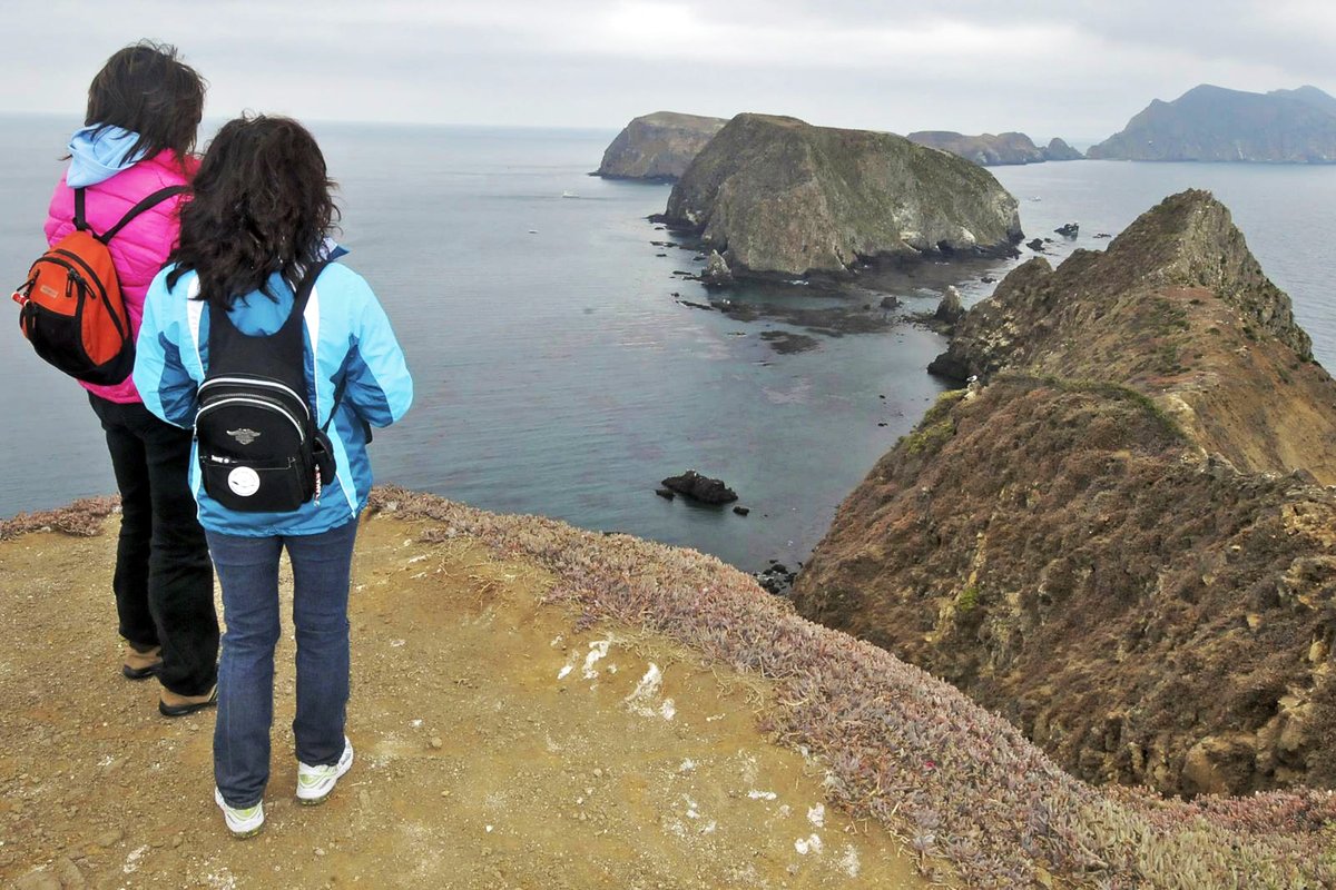 🚨 Only 9 spots left!
Join us June 7 for a birding &amp; photo adventure to Channel Islands Nat’l Park! 🐦🐋
Cruise, hike w/ a naturalist, see nesting gulls, ocean views, &amp; more.
Departs Oxnard 9:30am. Ages 13+.
$78 ($70 for members). Register now!