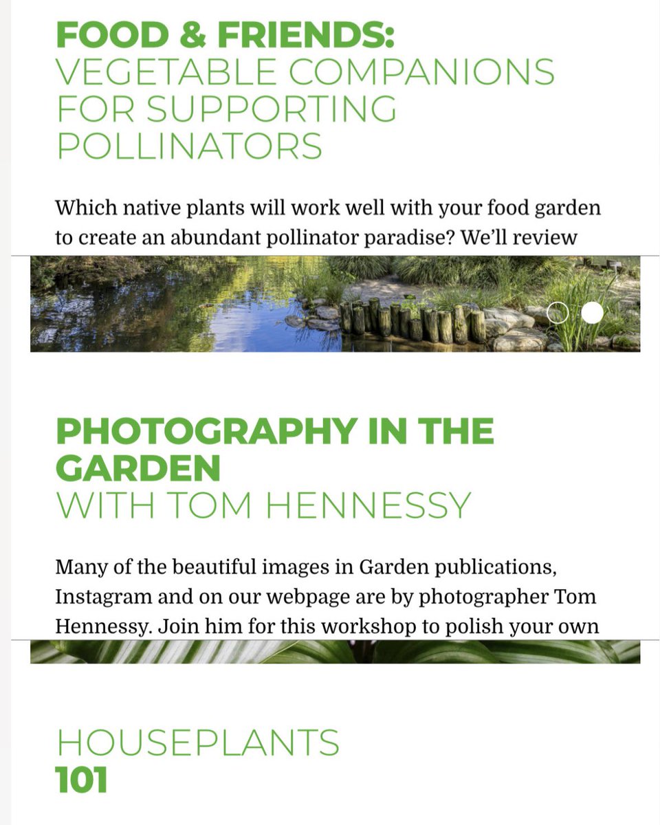 Join us to learn indoor plant care, how veggies can support pollinators, or garden photography! lewisginter.org/learn/adult-cl…

-Houseplants 101 5/9| 5:30–7:30PM
-Food &amp; Friends: Vegetable Companions Supporting Pollinators 5/10| 10-11:30AM
-Photography in the Garden 5/10| 8–3PM

#RVA