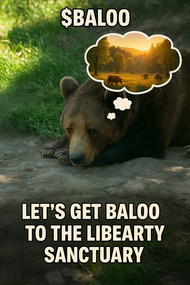Free Baloo tweet media