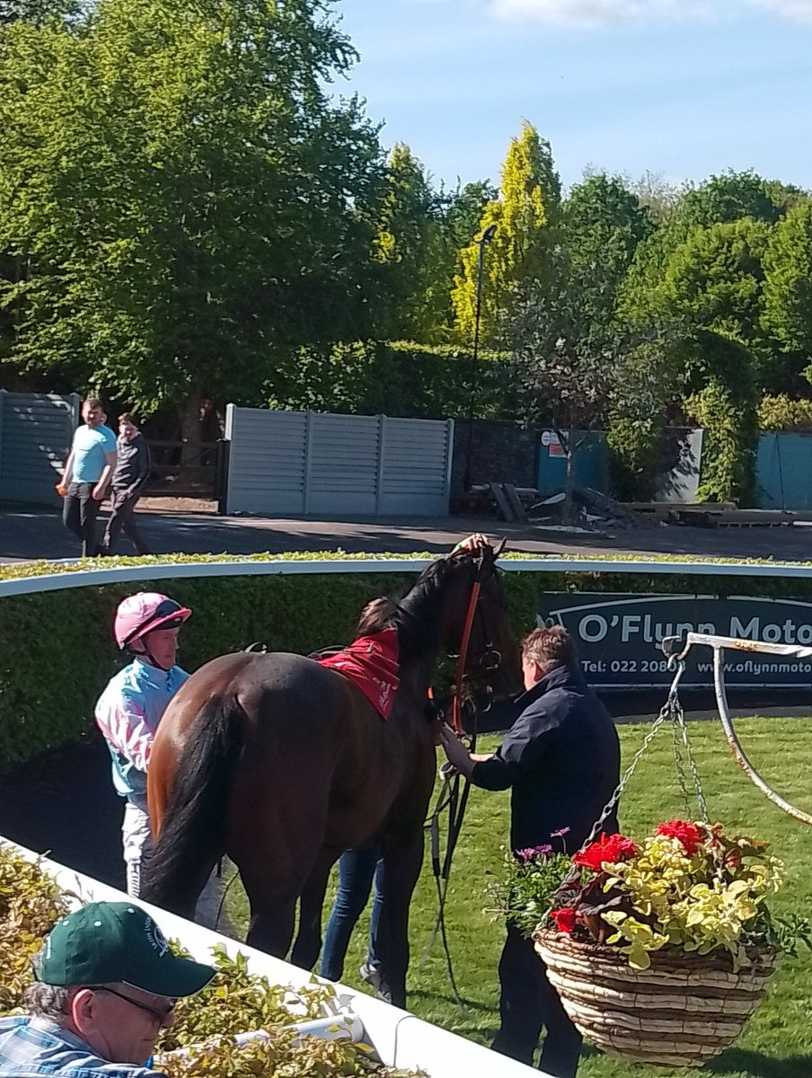 Joe Seward (@joeseward1) on Twitter photo Paddy Twomey's newcomer all the rage in the second here at <a href="/corkracecourse/">Cork Racecourse</a>
City Of Memphis a half sister to six winners cost €340K at the breeze-up sale last year was an impressive winner of the opener here for the in -form combination <a href="/ptwomeyracing/">Paddy Twomey Racing</a> and
<a href="/Wjlee/">wjlee</a>
#Cork Paddy Twomey's newcomer all the rage in the second here at <a href="/corkracecourse/">Cork Racecourse</a>
City Of Memphis a half sister to six winners cost €340K at the breeze-up sale last year was an impressive winner of the opener here for the in -form combination <a href="/ptwomeyracing/">Paddy Twomey Racing</a> and
<a href="/Wjlee/">wjlee</a>
#Cork