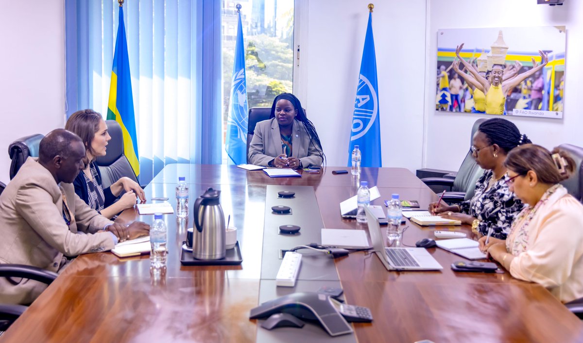 FAO in Rwanda (@faorwanda) on Twitter photo Today, <a href="/FAORwanda/">FAO in Rwanda</a> Rep a.i. <a href="/NomaMhlanga/">Nomathemba Mhlanga</a> welcomed Schafer Castella, Technical Director of Market Systems Development at <a href="/CNFA/">CNFA</a>, for a courtesy visit. They explored opportunities for collaboration to enhance food safety across Rwanda’s food value chains.
#AgrifoodSystems Today, <a href="/FAORwanda/">FAO in Rwanda</a> Rep a.i. <a href="/NomaMhlanga/">Nomathemba Mhlanga</a> welcomed Schafer Castella, Technical Director of Market Systems Development at <a href="/CNFA/">CNFA</a>, for a courtesy visit. They explored opportunities for collaboration to enhance food safety across Rwanda’s food value chains.
#AgrifoodSystems