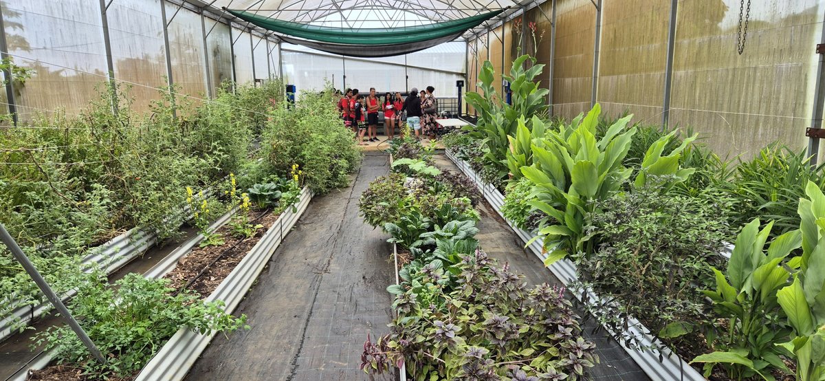 Collège Taaone tweet media