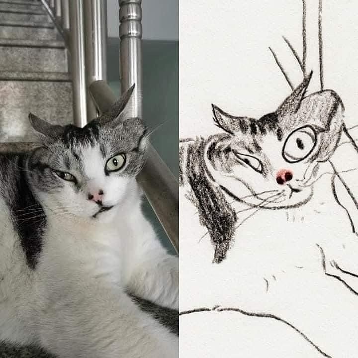 catshealdeprsn's tweet image. 