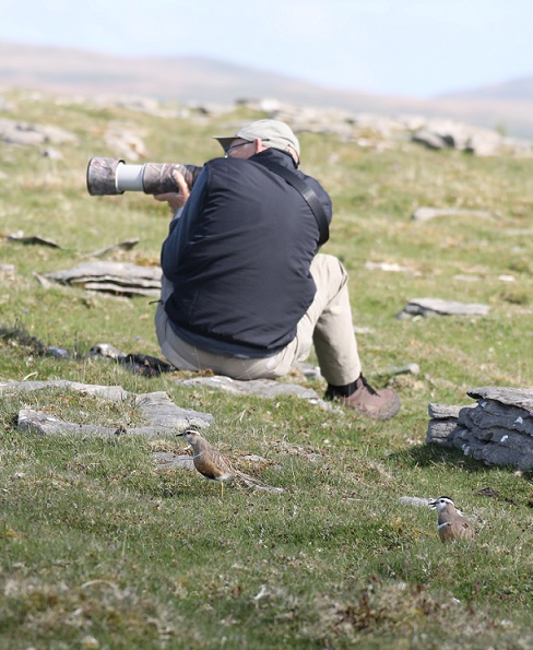 Dean Adams tweet media