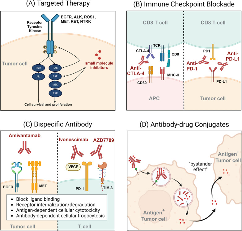 Pelotonia Institute for Immuno-Oncology (@ohiostatepiio) on Twitter photo Check out this review in J Hematol Oncol. highlighting recent advances in #therapeutic_strategies for #NSCLC, featuring contributions from <a href="/PoLanSu1/">Po-Lan Su</a>, Naoki Furuya, <a href="/AsrarAlahmadi/">Asrar AlAhmadi, MD, MAS-CR - أسرار الأحمدي</a>, <a href="/ChristianRolfo/">Christian Rolfo</a>, <a href="/Zihai/">Zihai Li, MD, PhD</a>, <a href="/DCarboneMD/">David Carbone MD</a>, & Kai He. pubmed.ncbi.nlm.nih.gov/40140911/ <a href="/OhioStateMedOnc/">Ohio State Medical Oncology</a> Check out this review in J Hematol Oncol. highlighting recent advances in #therapeutic_strategies for #NSCLC, featuring contributions from <a href="/PoLanSu1/">Po-Lan Su</a>, Naoki Furuya, <a href="/AsrarAlahmadi/">Asrar AlAhmadi, MD, MAS-CR - أسرار الأحمدي</a>, <a href="/ChristianRolfo/">Christian Rolfo</a>, <a href="/Zihai/">Zihai Li, MD, PhD</a>, <a href="/DCarboneMD/">David Carbone MD</a>, & Kai He. pubmed.ncbi.nlm.nih.gov/40140911/ <a href="/OhioStateMedOnc/">Ohio State Medical Oncology</a>