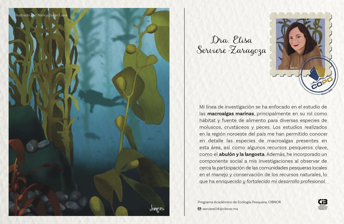 🌊 ¡Explora el Océano a Través de Ellas!  6a. Edición: Compartiremos la trayectoria de investigadoras que exploran, estudian y protegen el océano,acercándonos a sus experiencias,conociendo sus áreas de especialidad y destacando el impacto de las mujeres científicas en el mar.
