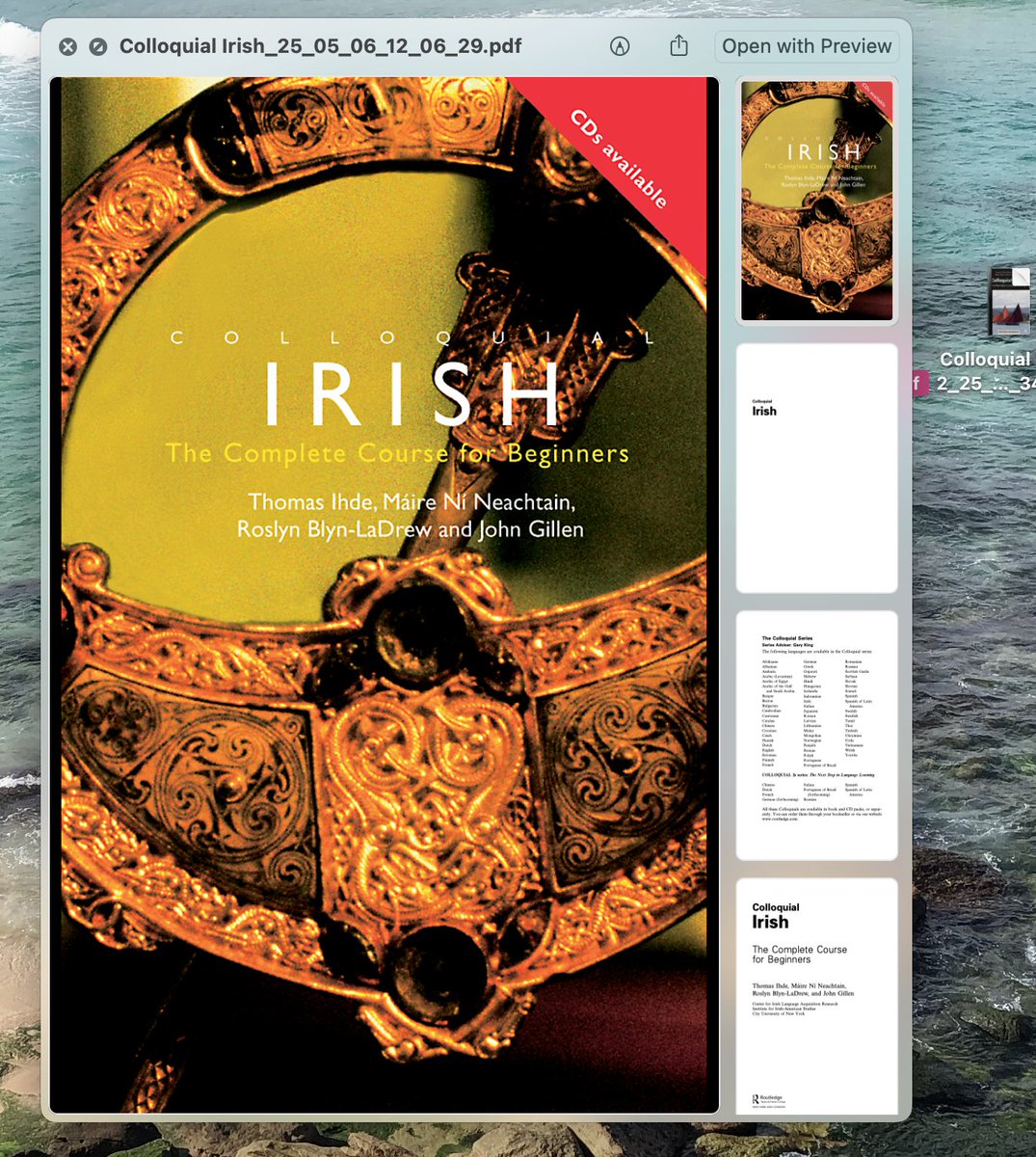 ICANFIXHlM's tweet image. stop saying one day and start saying day one 🙌🫡💪 #learningirish