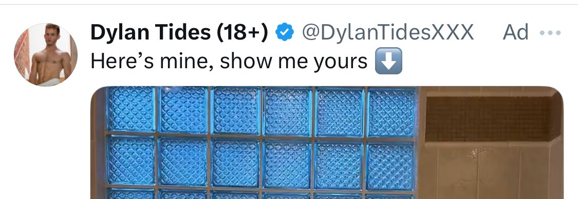 WTF? WHY AM I GETTING ADS OF DUDES DICKS?? (Censored for your eyes)