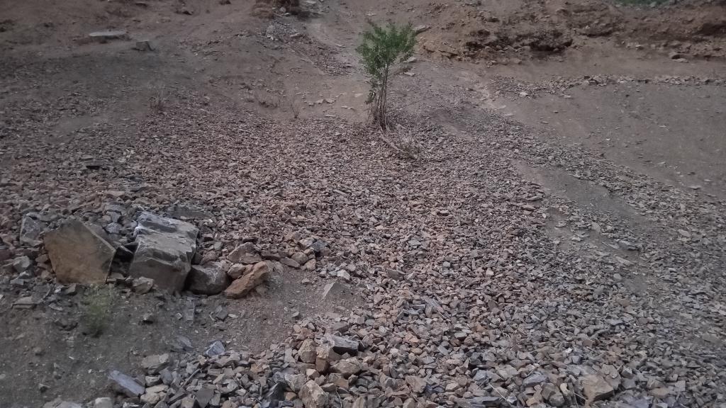 "Sırrı hakikate aşina olmuş. " Kalanlar da Gıderse.