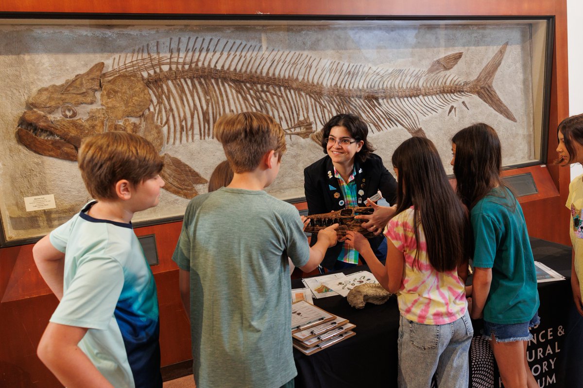 TXSciNatHisMus's tweet image. Happy #NationalTeacherDay! 🍎📚
At Texas Science & Natural History Museum, we’re inspired every day by the educators who spark curiosity, nurture wonder and help students see the world in new ways. Thank you for guiding the next generation of lifelong learners!🧡