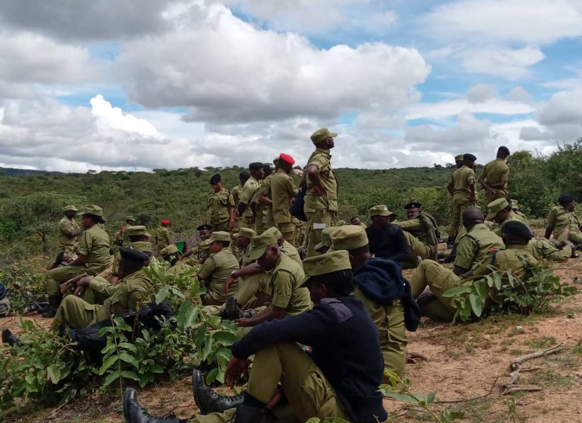 PabloYende's tweet image. FRIENDS OF SATIVA