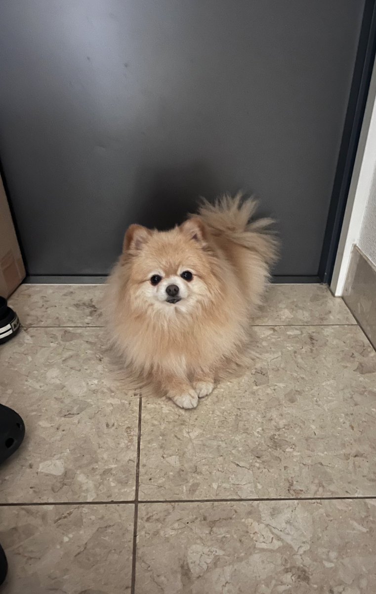 そろそろ暖かくなってきたので、床が冷たい玄関が心地よいようです