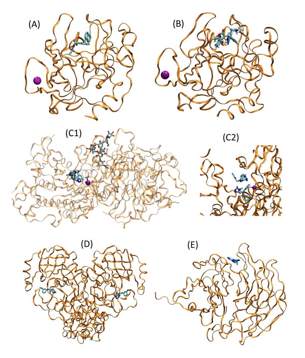 BiologyAIDaily's tweet photo. Assessment of Pharmaceutical Protein-Ligand Pose and Affinity Predictions in CASP16

1. CASP16 challenged participants to predict both protein-ligand binding poses and binding affinities for 229 pharmaceutical targets—marking a shift from traditional protein structure prediction to more application-driven drug discovery problems.

2. Template-based methods dominated the pose prediction task, with ClusPro and related methods reaching mean LDDT-PLI scores of 0.69. Notably, AlphaFold 3 outperformed all participant submissions with a mean LDDT-PLI of 0.80 when run post hoc.

3. Deep learning methods such as Boltz-1 and RoseTTAFold All-Atom showed moderate performance, but AlphaFold 3 proved exceptional, accurately modeling even unseen targets like WDR55 with no prior binding site knowledge (LDDT-PLI = 0.93).

4. Pose prediction metrics revealed a bimodal accuracy distribution among participants, and pose accuracy strongly correlated with binding site accuracy, suggesting good ligand placement remains tightly coupled to correct local structural modeling.

5. Ligand complexity (size, rotatable bonds), similarity to known structures (SuCOS), and binding affinity had surprisingly little correlation with pose prediction accuracy, implying that structure quality hinges more on method than molecular properties.

6. Binding affinity prediction proved more difficult. The best group achieved a Kendall’s tau of 0.42 in Stage 1 (no structure access), while many models failed to outperform simple baselines like molecular weight.

7. Even with access to experimental poses in Stage 2, affinity prediction performance did not improve significantly, suggesting that scoring function limitations remain a key bottleneck in binding affinity estimation.

8. Deep learning methods did not systematically outperform classical approaches in affinity prediction, and baseline models using GNINA and AutoDock Vina produced results comparable to top participants.

9. CASP16 highlighted the divergence between pose and affinity prediction performance: groups excelling in pose prediction were not necessarily strong in affinity ranking, indicating distinct challenges in modeling physical interactions versus scoring them.

10. The challenge incorporated industrial-quality, drug-like ligands from Hoffmann-La Roche, Idorsia, and the Structural Genomics Consortium, raising the biological and pharmaceutical relevance of the test set compared to previous CASP or D3R efforts.

11. Evaluation metrics like LDDT-PLI, BiSyRMSD, and BB-RMSD were used to rigorously benchmark pose accuracy, while affinity prediction was judged by correlation with experimental rankings using Kendall’s tau under realistic experimental uncertainty.

12. CASP16 establishes a new benchmark for integrated protein-ligand modeling, showcasing both advances in AI-driven structure prediction and the persistent difficulty of affinity prediction—offering a rich dataset for method development and comparison.

💻Code:
Pose and affinity assessment infrastructure available via CASP Prediction Center and GitHub repositories of participating methods

📜Paper: https://t.co/vmPhs9P8lc
#DrugDiscovery #MolecularDocking #ProteinLigand #DeepLearning #AlphaFold3 #CASP16 #StructurePrediction #BindingAffinity #CADD #PosePrediction #ClusPro #GNINA #Boltz1