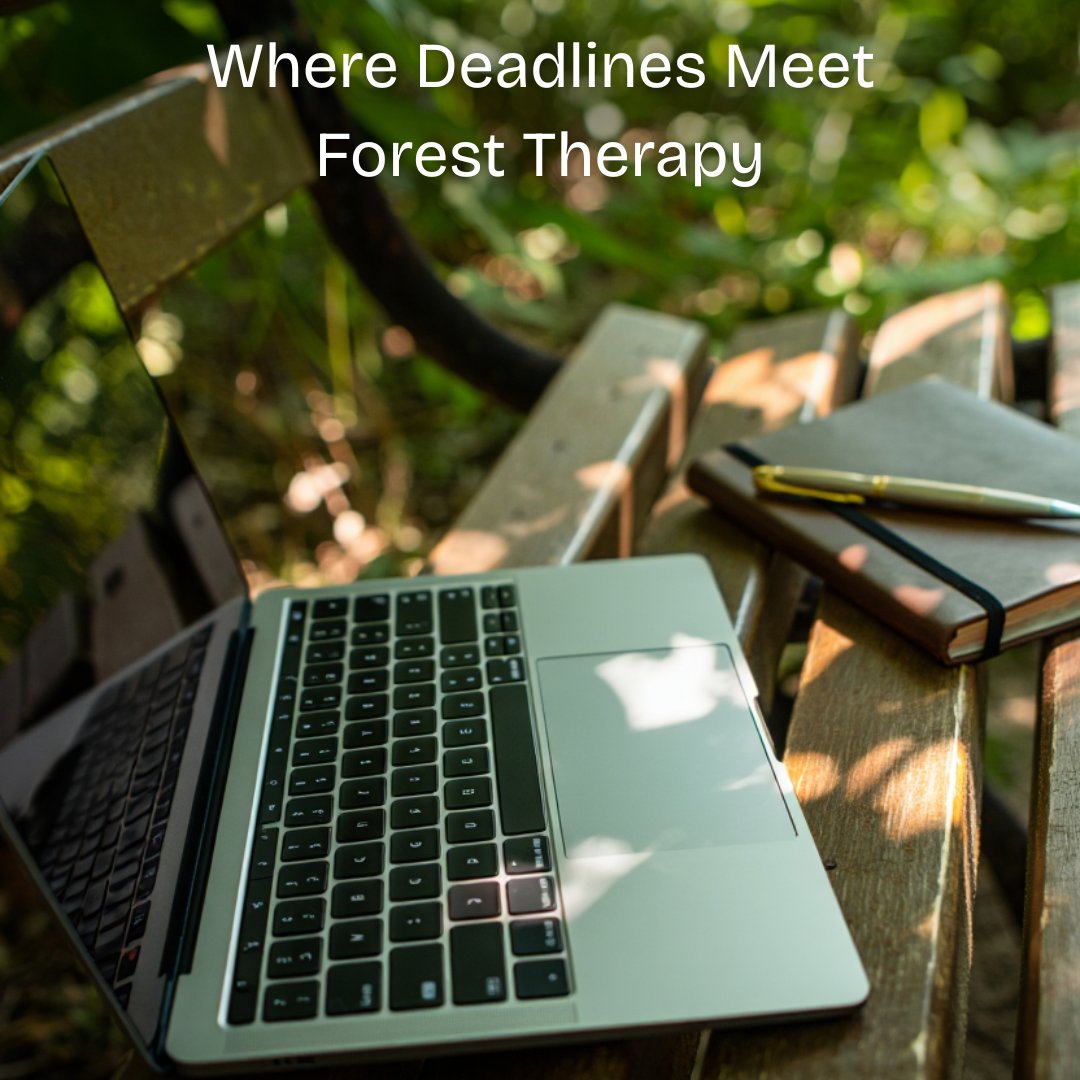 JeffreyKeefer's tweet photo. End-of-semester brain fog is real. When your mind feels like 47 browser tabs open at once, a strategic 15-minute nature immersion can restore the focus you need to finish strong. Research shows forest bathing improves working memory—even a campus green space counts. https://t.co/jnotL0ZJfv