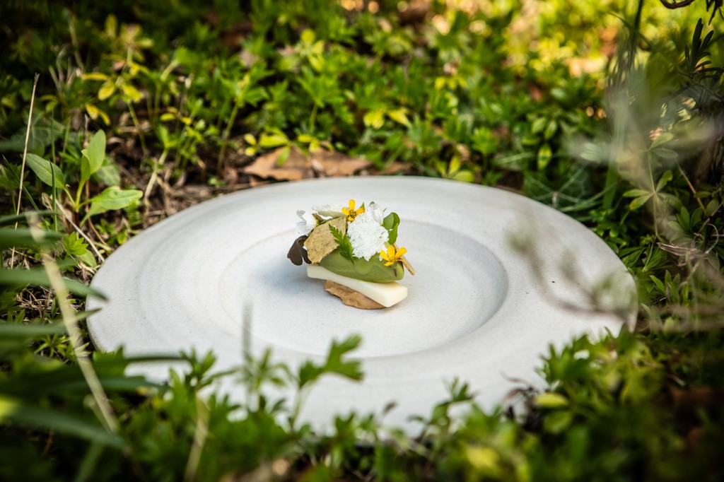 Our pre-dessert takes inspiration from our woodlands and hedgerows, while also celebrating incredible local produce from suppliers like Cow Corner. 

Our chefs transform this raw milk into three elements: a silky milk jam, a milk parfait, and delicate aerated milk crisps.