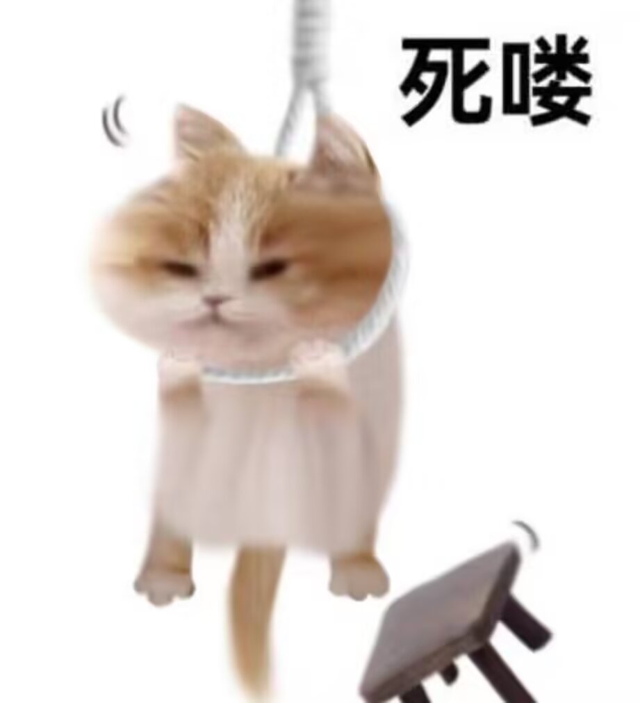 接天降编制工作🙏🏻