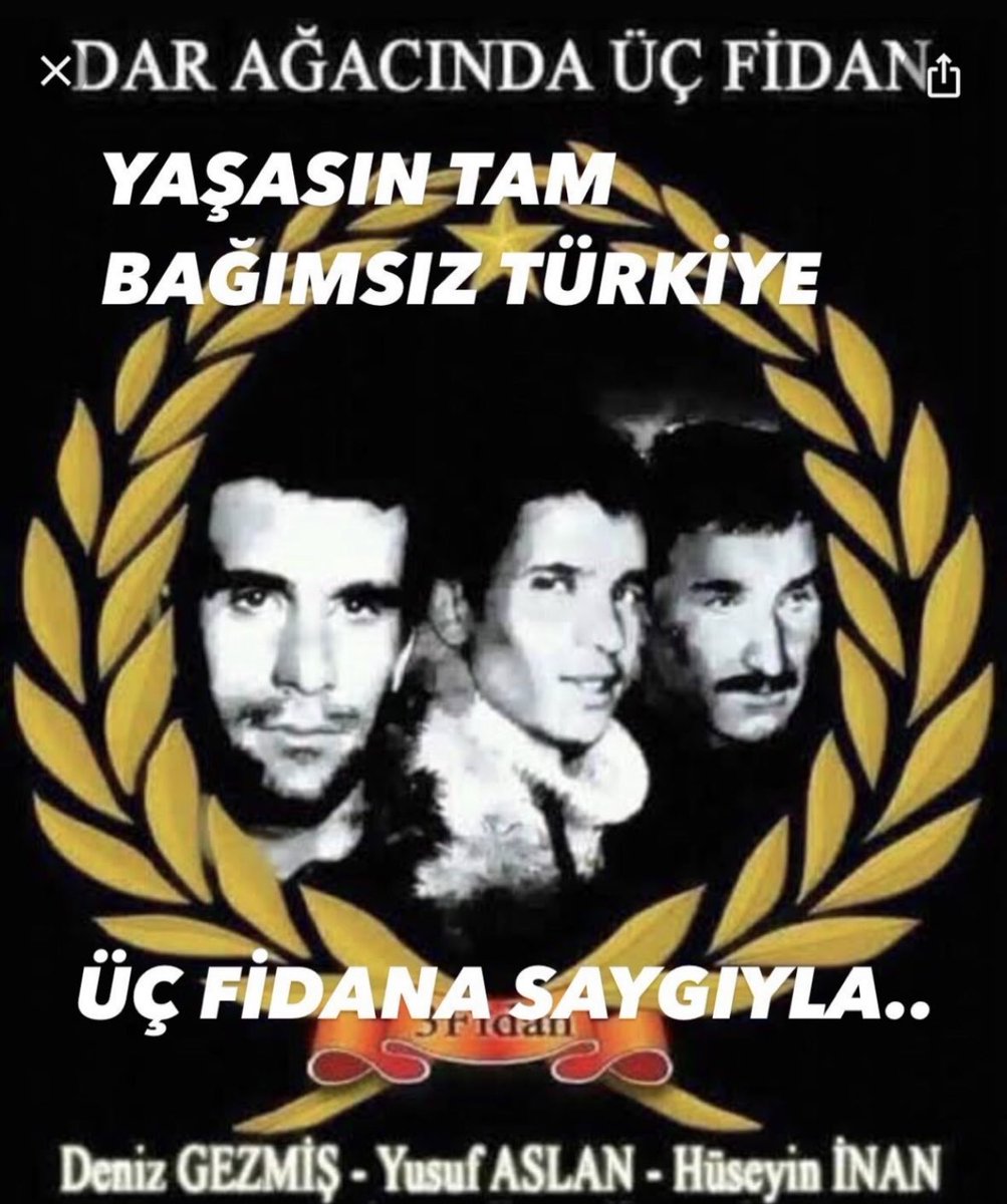 Kamil SAKA (@kamilsaka) on Twitter photo 