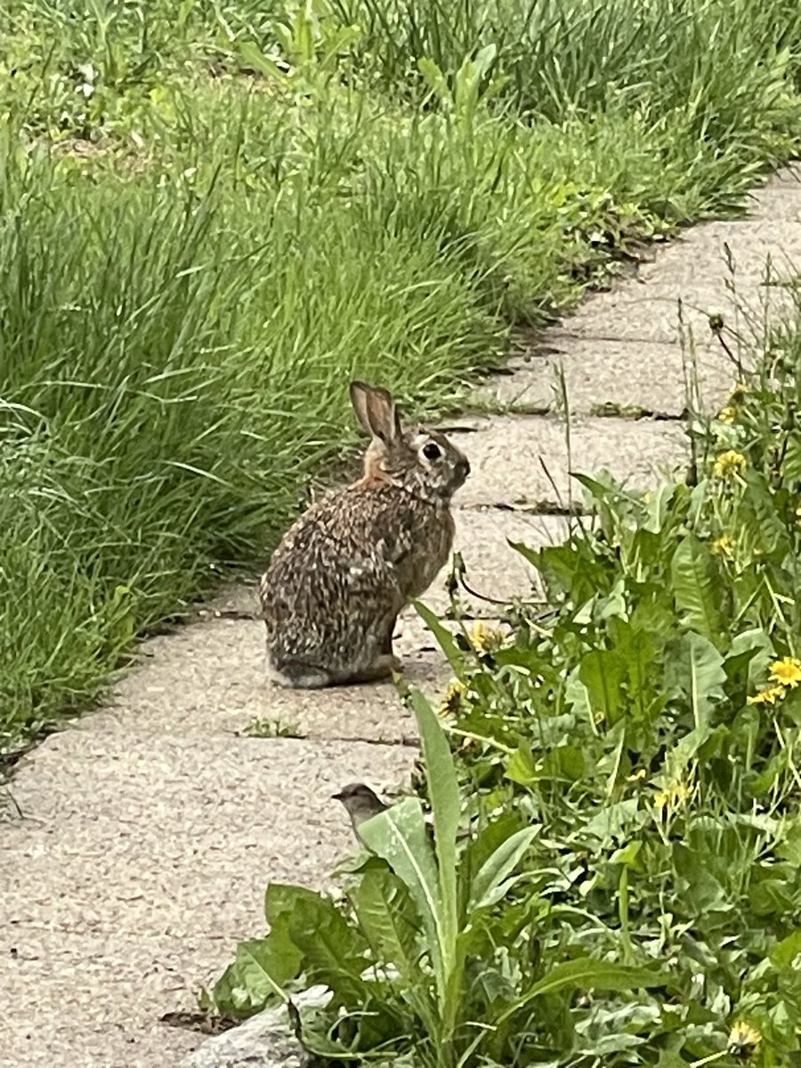 CELEST CO. tweet media