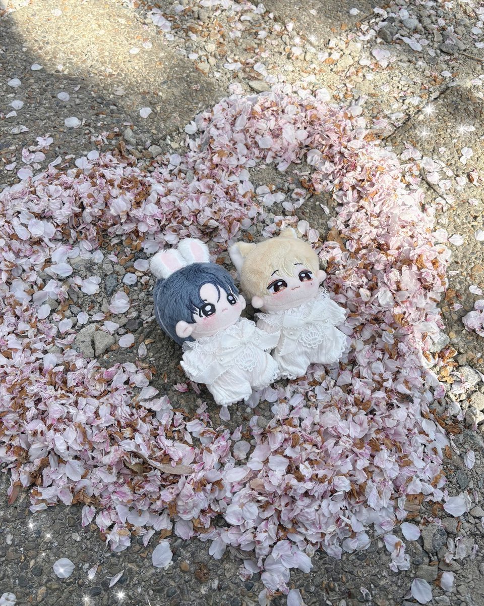 ha__toon's tweet photo. お久しぶりすぎる ...！
いつの間にか桜が散ってて、
あっという間にGW終わった ₍  ∽ ·̫ ∽  ₎ https://t.co/FWmWRaYiIX