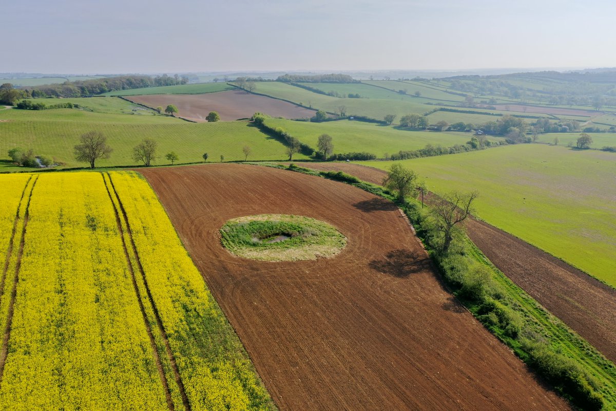 AllertonProject's tweet photo. Check out our video on how farmers are a key element in nature recovery, based on >30 years of research here at the Allerton Project.

Part of our new Nature Recovery appeal alongside our colleagues at @Gameandwildlife. 

https://t.co/LrkGUuxSv1 https://t.co/IORZbNMDch