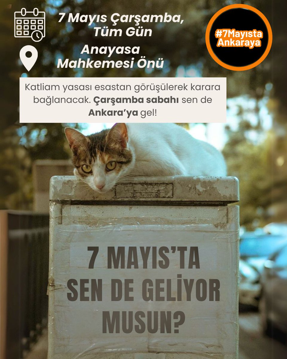 Patriyarkal şiddet sadece kadınları hedef almaz, doğayı ve hayvanları da şiddet sarmalı içinde yok eder.
Anayasa Mahkemesi'nin hayvanların yaşam hakkını görmezden geldiği k*tliam yasası iktidarın erkek egemen zihniyetinin yansımasıdır.
Bu karardan vazgeçin!
Yasayı geri çekin!