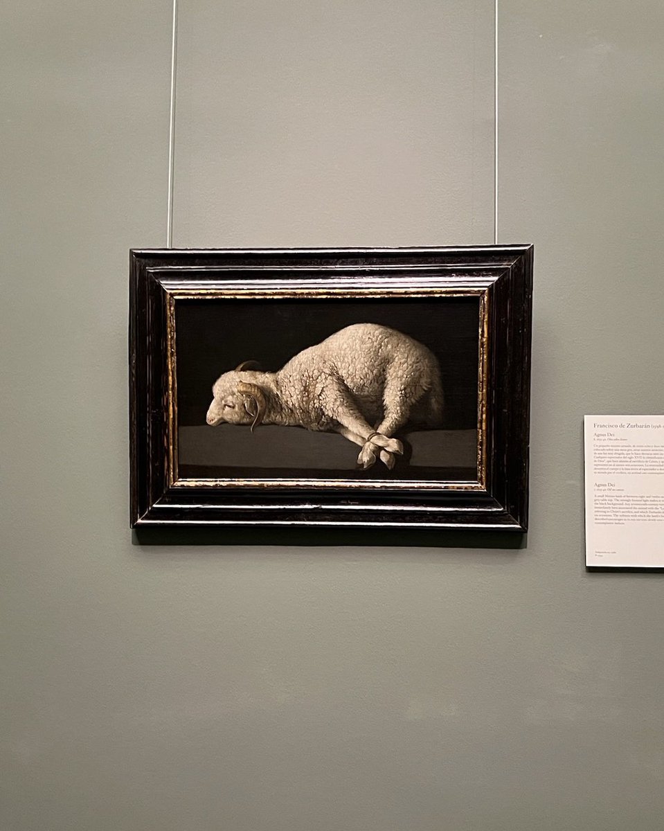 OMG LOOK WHO I SAW TODAY