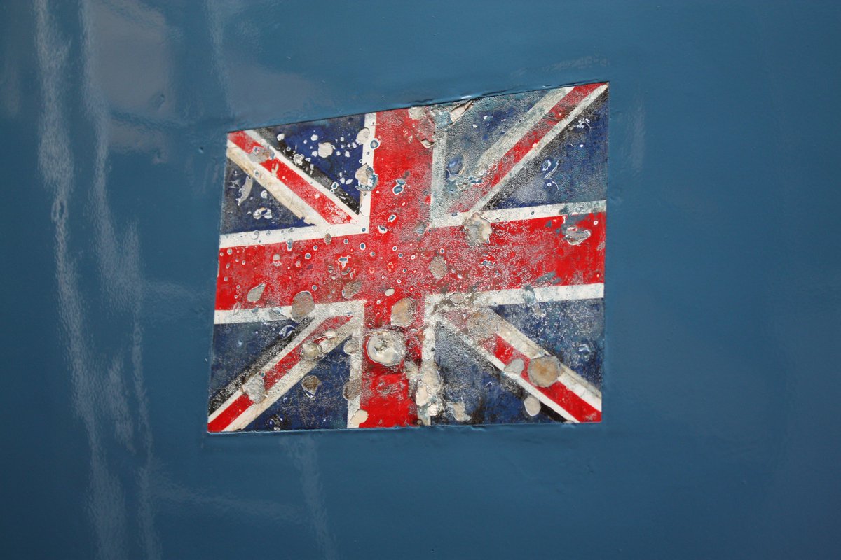 The Bluebird Project tweet media