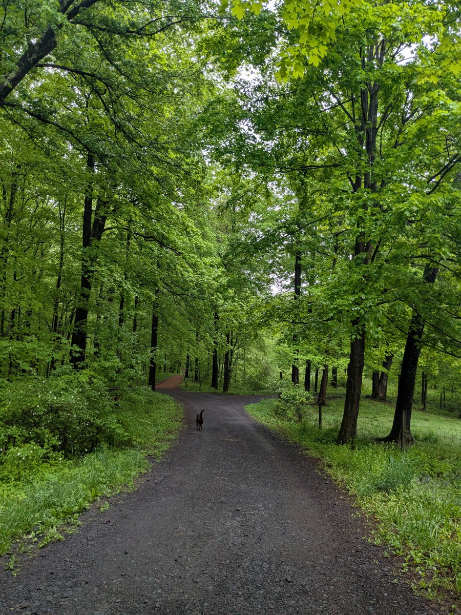 Nancy H (@nhuleatt54300) on Twitter photo 