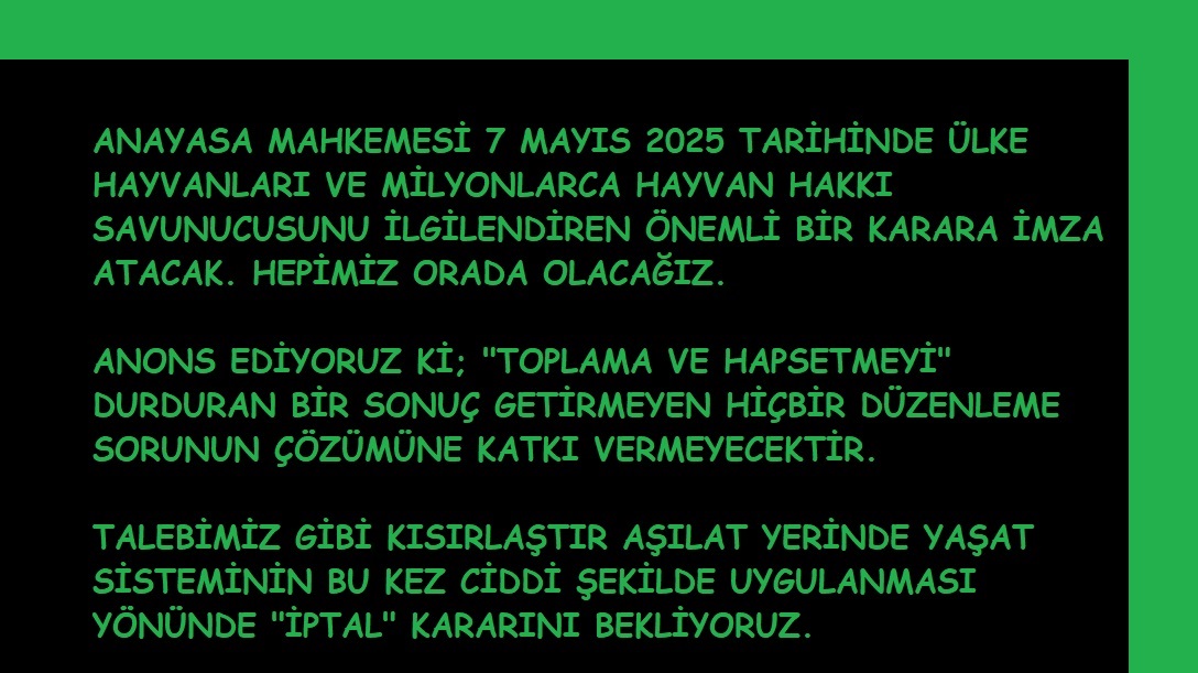 Hülya YALÇIN (@hulya_yalcin65) on Twitter photo 